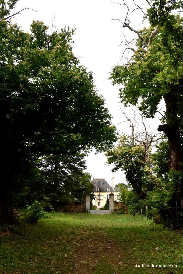 Bed and Breakfast Domaine De La Briouse Sanxay Екстер'єр фото