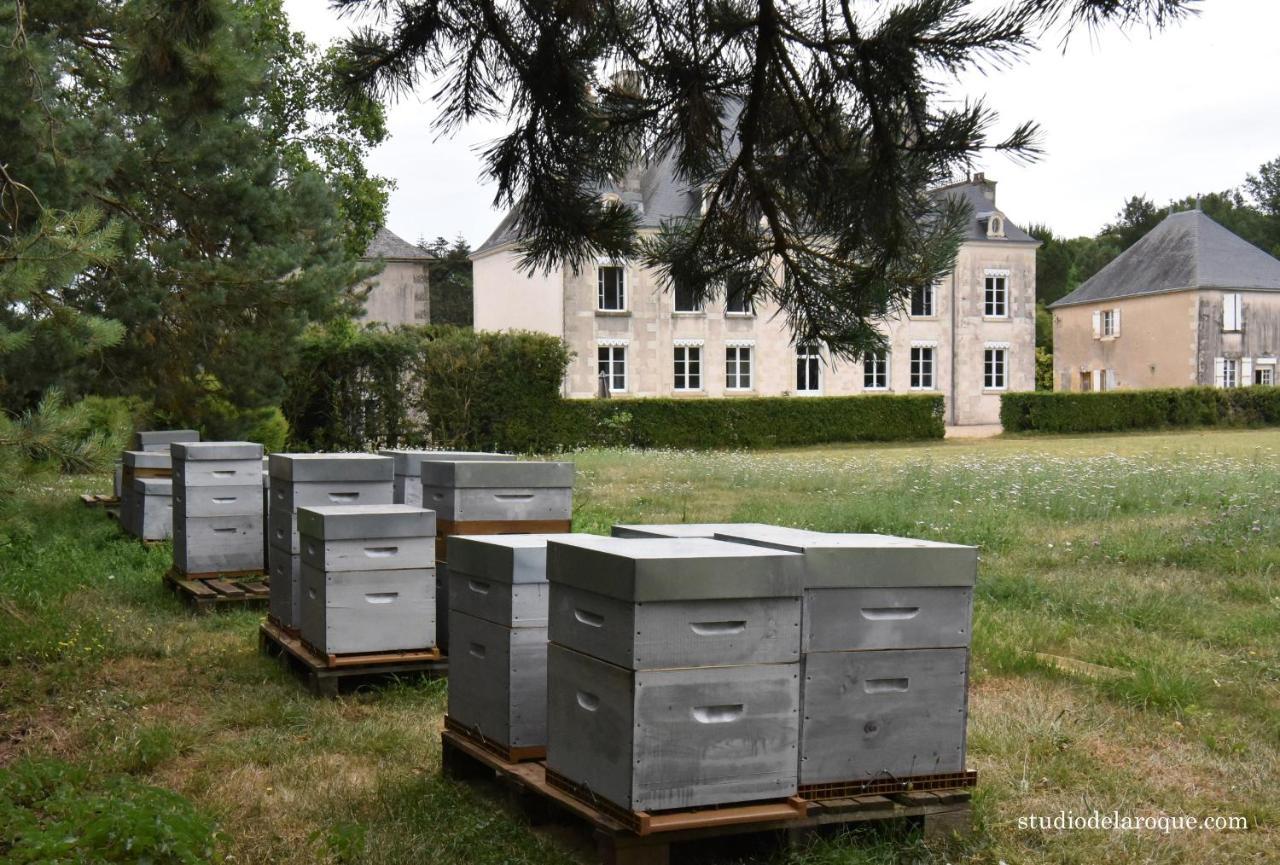 Bed and Breakfast Domaine De La Briouse Sanxay Екстер'єр фото