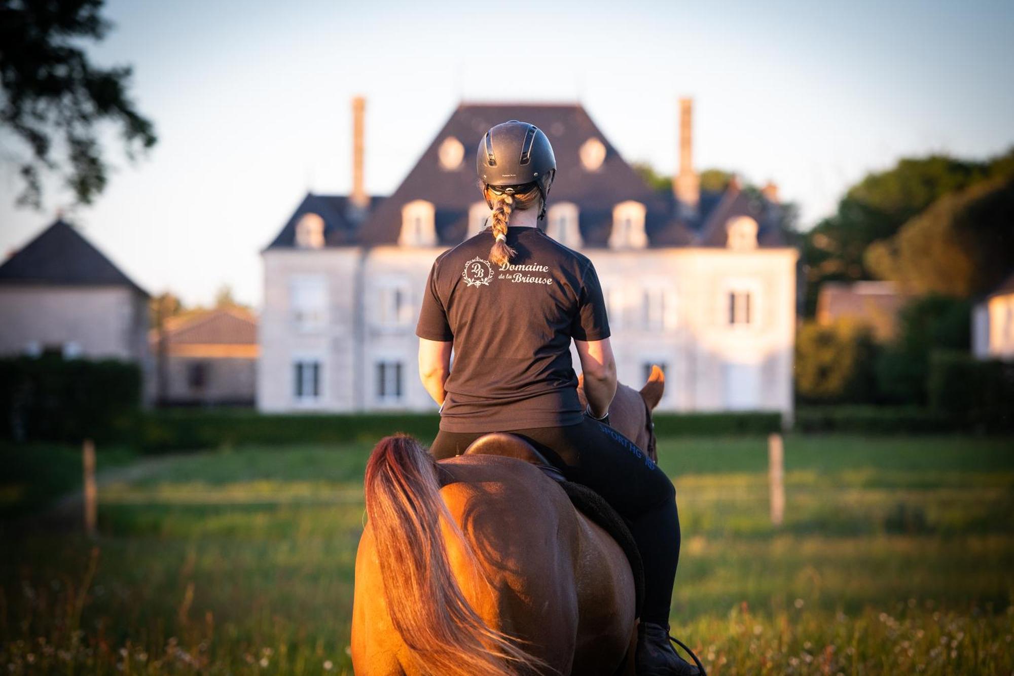 Bed and Breakfast Domaine De La Briouse Sanxay Екстер'єр фото
