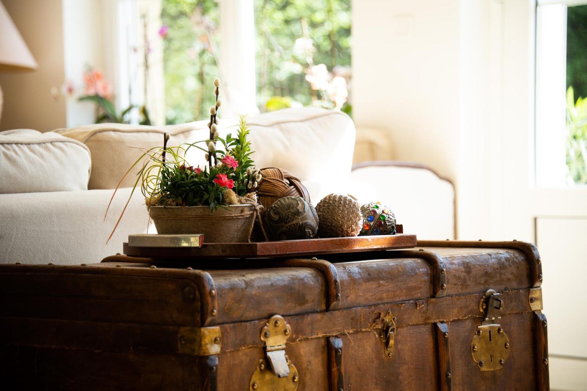 Bed and Breakfast Domaine De La Briouse Sanxay Екстер'єр фото